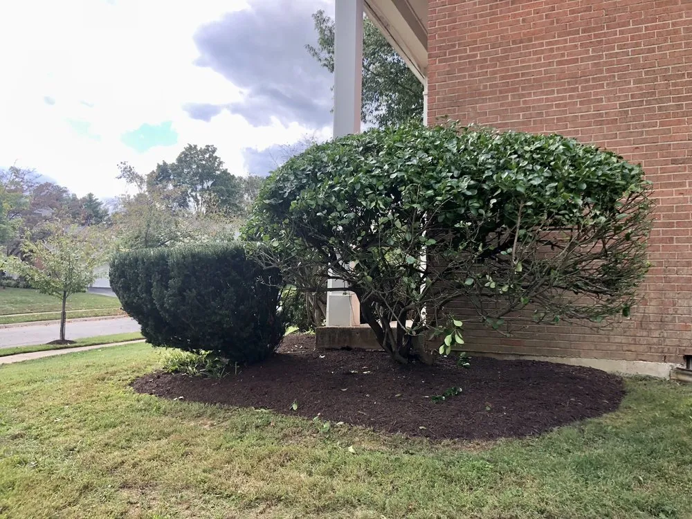 Expert yard maintenance for beautiful yards across Montgomery Village, MD - RD7 Landscaping