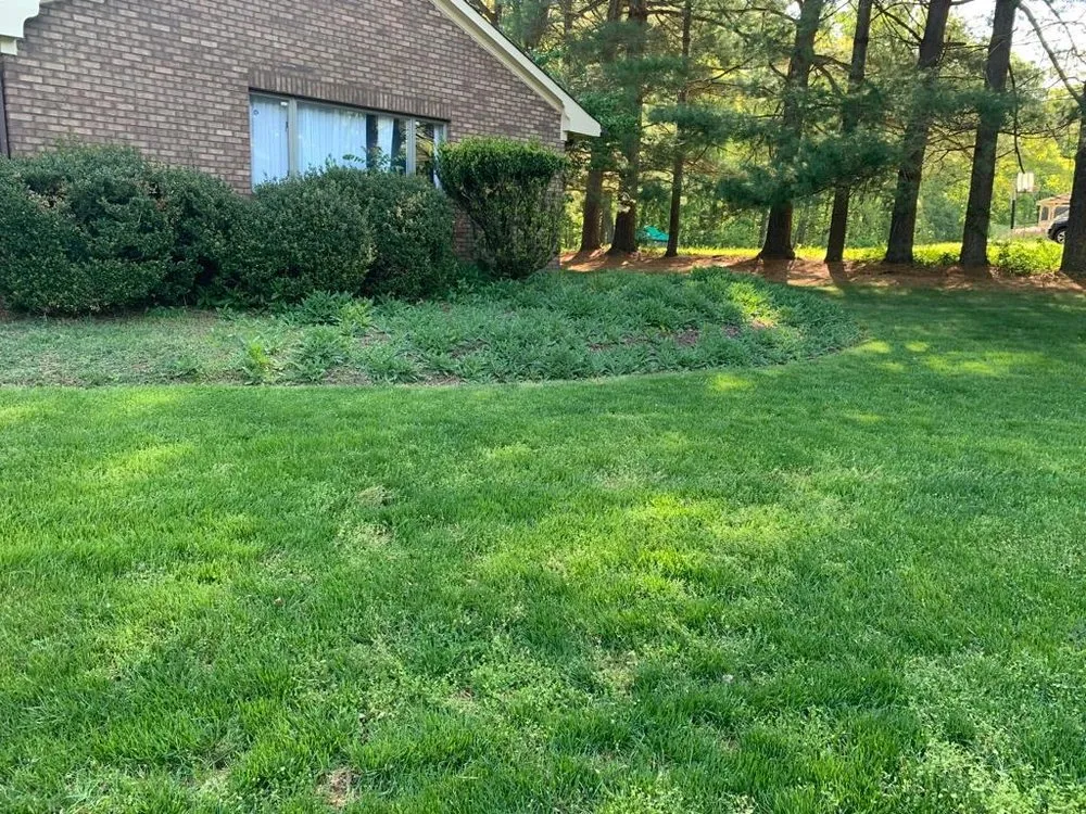 Top-rated yard cleanup service with custom design in Montgomery Village, MD by RD7 Landscaping