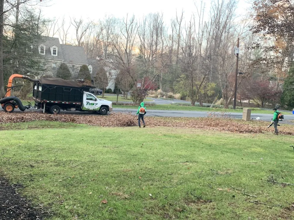 Top-rated yard cleanup service experts serving Montgomery Village, MD - RD7 Landscaping
