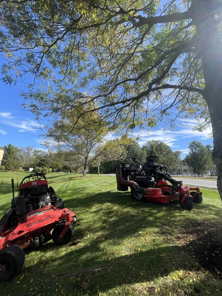 Professional yard cleanup service experts serving Springfield, MA - RDA Landscaping