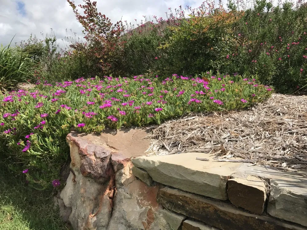 Expert outdoor landscaping experts serving Rowlett, TX - RDD Landscaping
