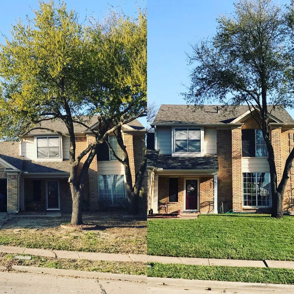 Professional outdoor landscaping experts serving Rowlett, TX - RDD Landscaping