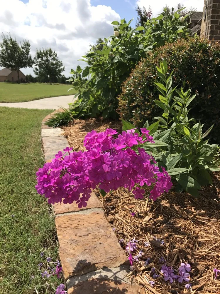 Professional yard cleanup service in Rowlett, TX by RDD Landscaping