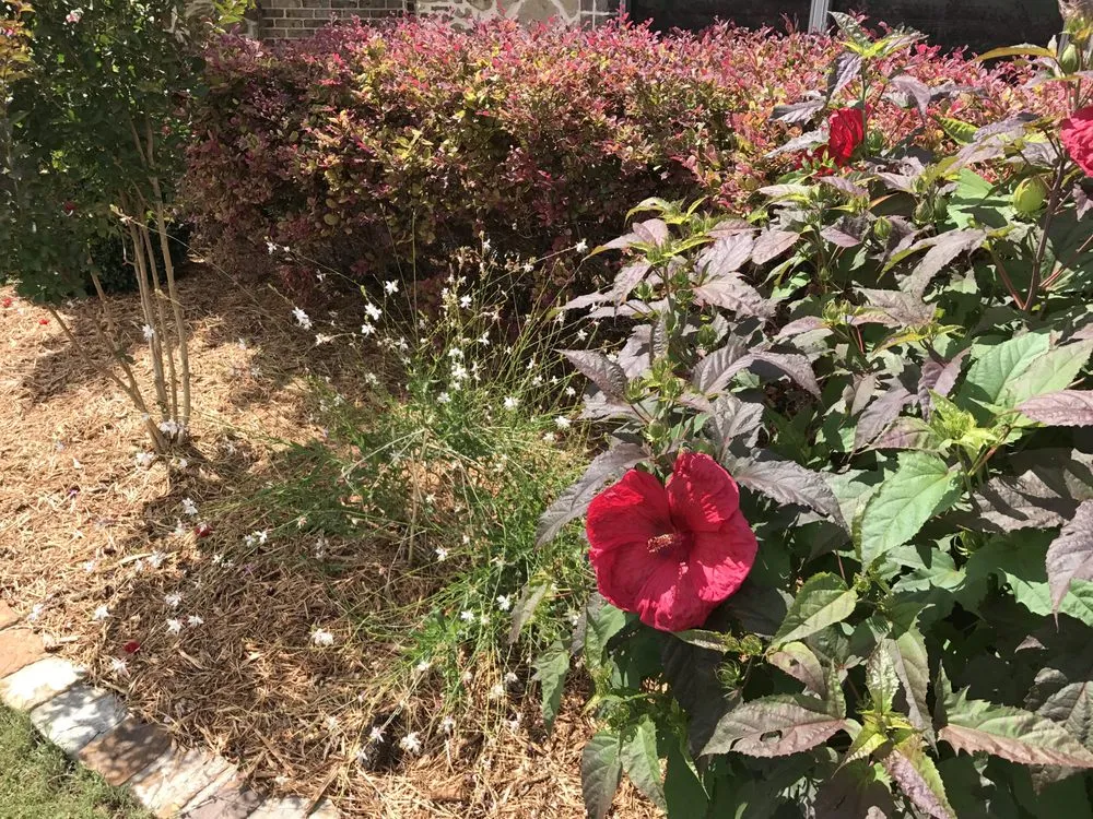 Top-rated landscaping services with custom design in Rowlett, TX by RDD Landscaping