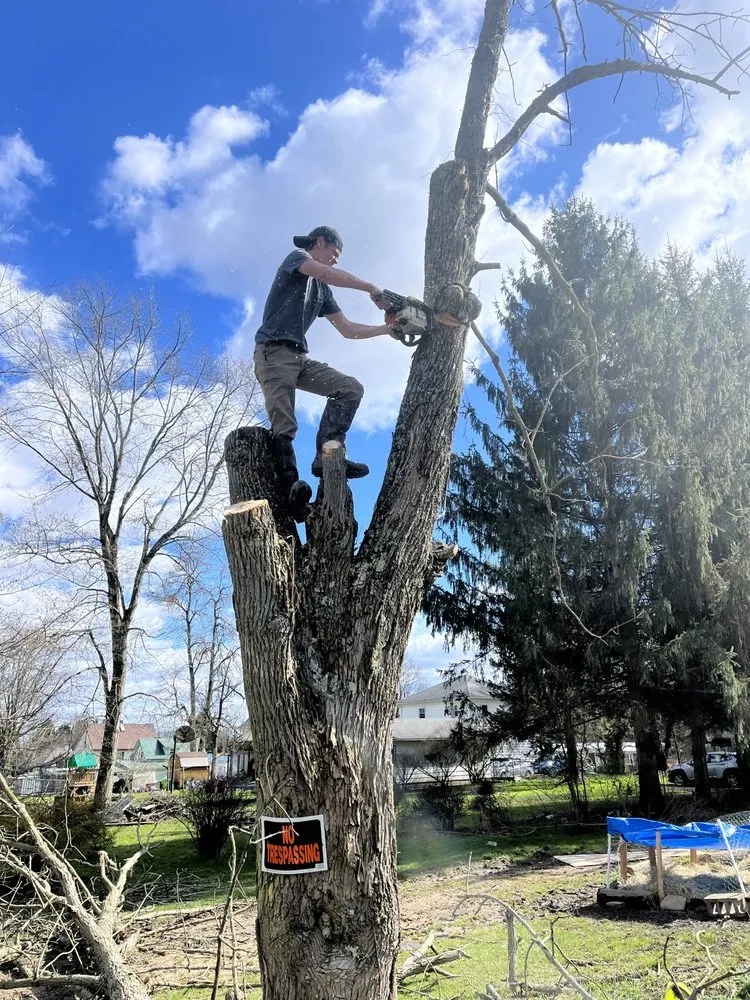 Top-rated landscape design experts serving Linesville, PA - RDG Landscaping