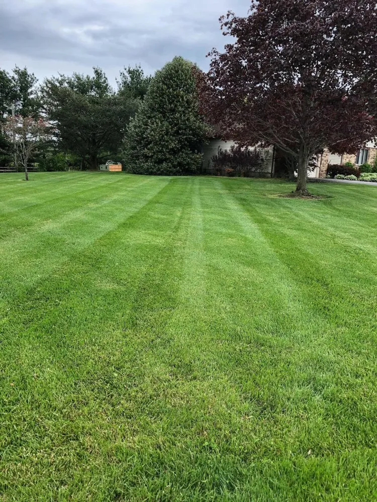 Local lawn mowing service with custom design in Bridgeton, NJ by RDH Lawncare