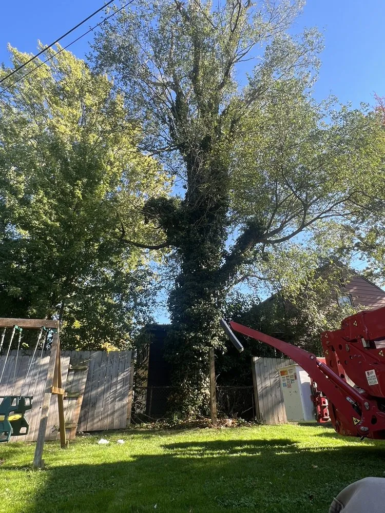 Professional garden landscaping in Buffalo, NY - RDK Landscaping & Hardscaping Services