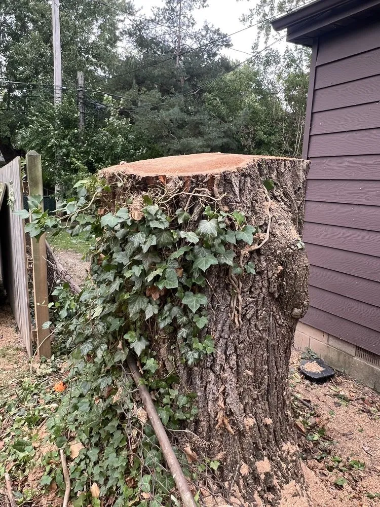 Reliable yard maintenance near you in Buffalo, NY by RDK Landscaping & Hardscaping Services