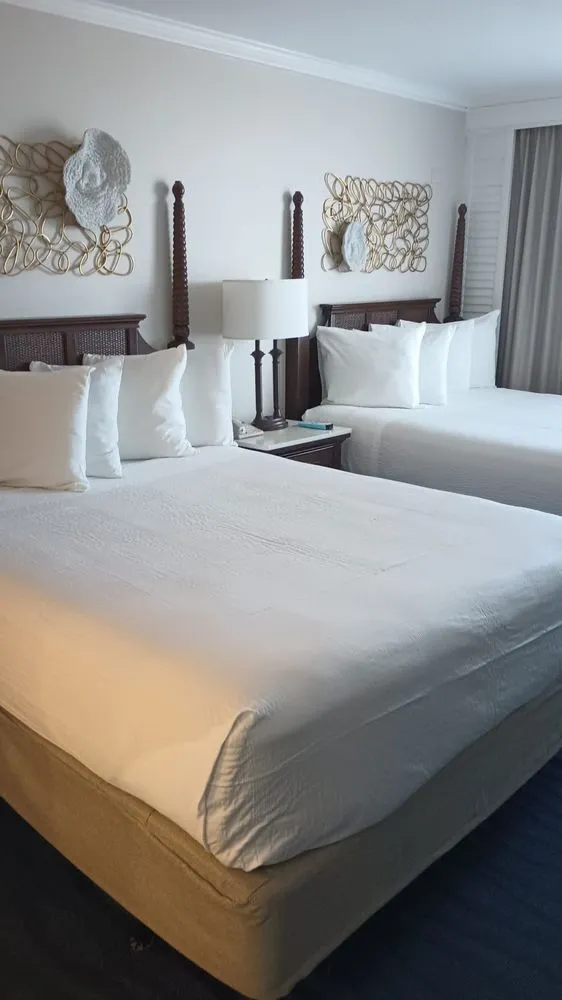 Reliable landscaping services for homes across Tampa, FL - RDL King Of Cleaning And Other Thing