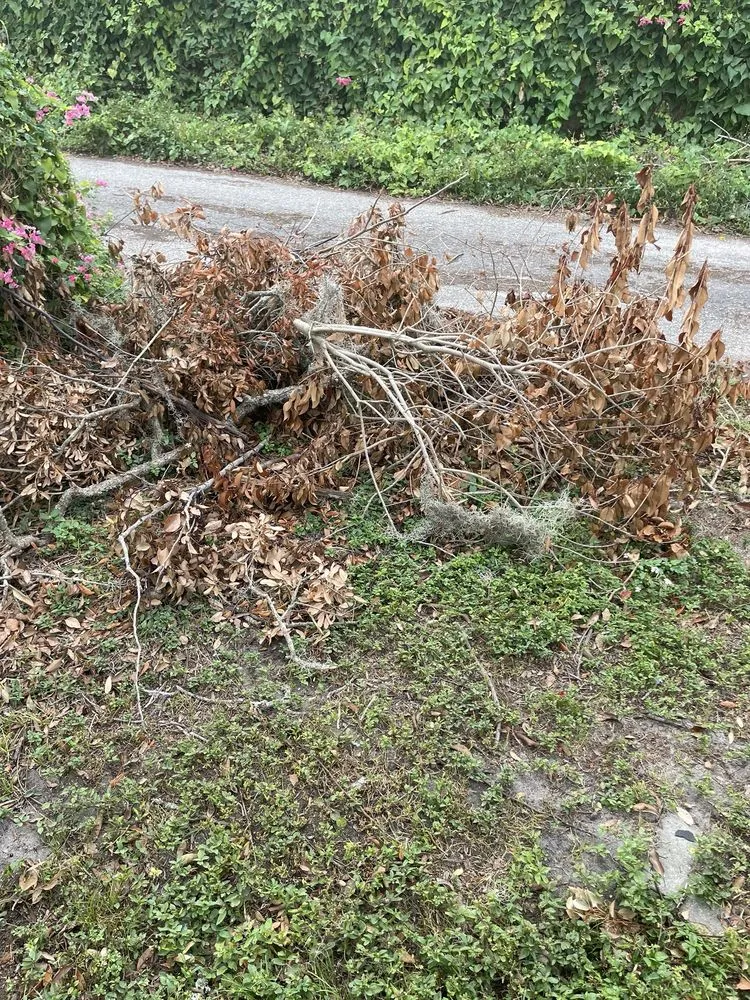 Local landscape design near you across Tampa, FL - RDL King Of Cleaning And Other Thing