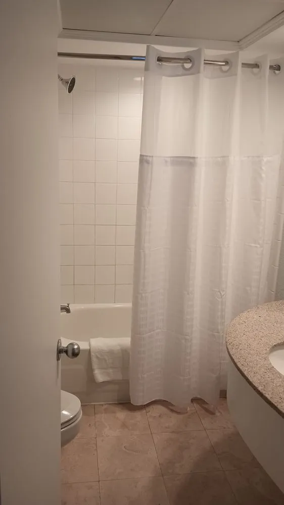 Top-rated yard cleanup service experts serving Tampa, FL - RDL King Of Cleaning And Other Thing