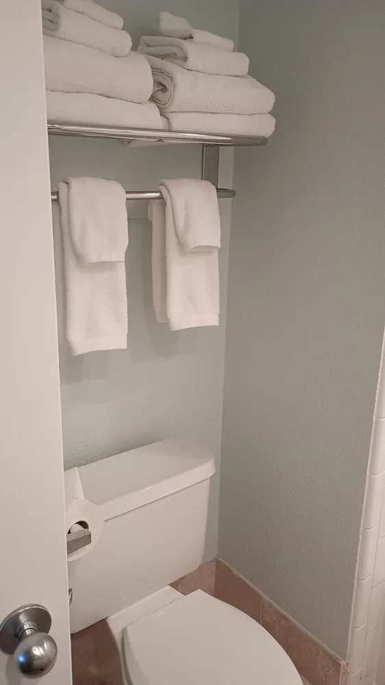 Custom garden landscaping for residential properties across Tampa, FL - RDL King Of Cleaning And Other Thing