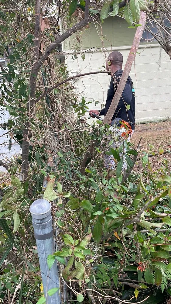 Affordable lawn mowing service in Tampa, FL by RDL King Of Cleaning And Other Thing