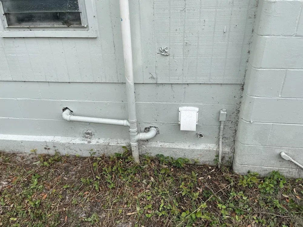 Professional lawn care service experts serving Tampa, FL - RDL King Of Cleaning And Other Thing