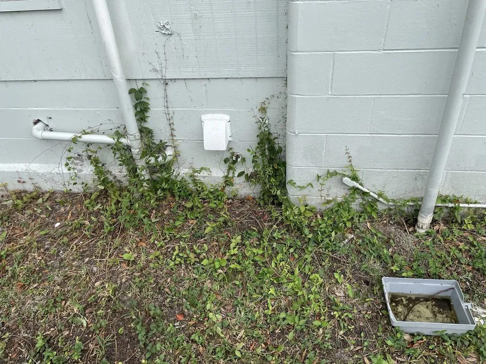 Professional lawn mowing service in Tampa, FL - RDL King Of Cleaning And Other Thing