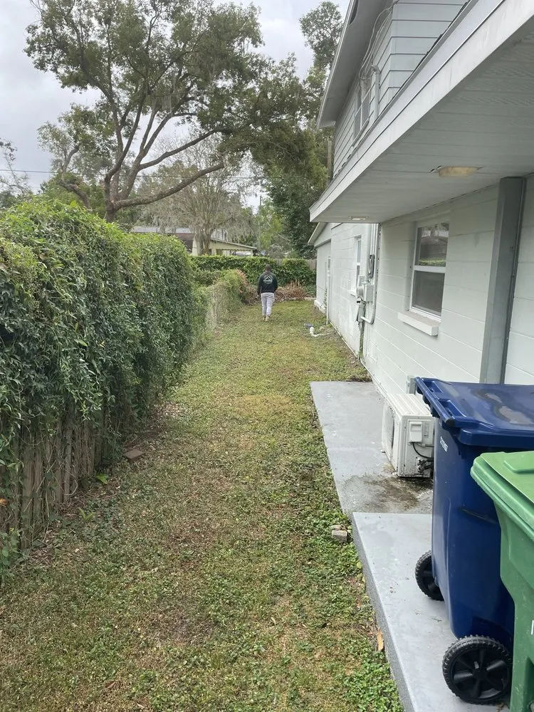 Local garden landscaping in Tampa, FL - RDL King Of Cleaning And Other Thing