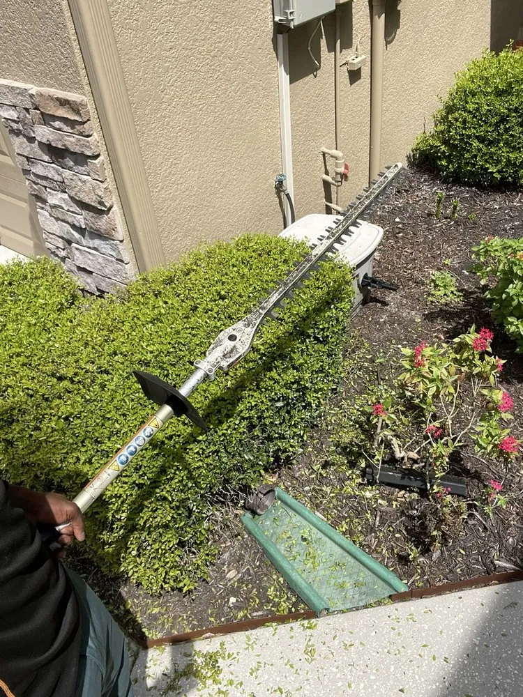 Local lawn mowing service for homes across Tampa, FL - RDL King Of Cleaning And Other Thing