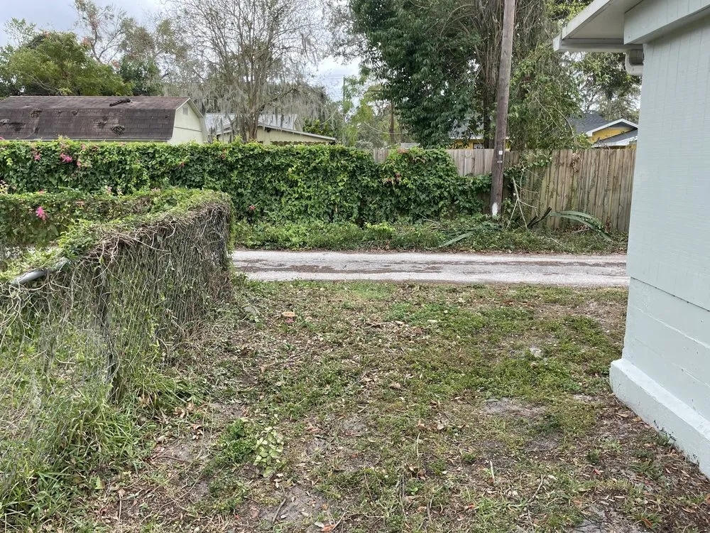 Professional yard cleanup service for homes in Tampa, FL by RDL King Of Cleaning And Other Thing