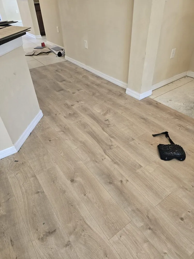 Custom lawn care service in Tampa, FL - RDL King Of Cleaning And Other Thing