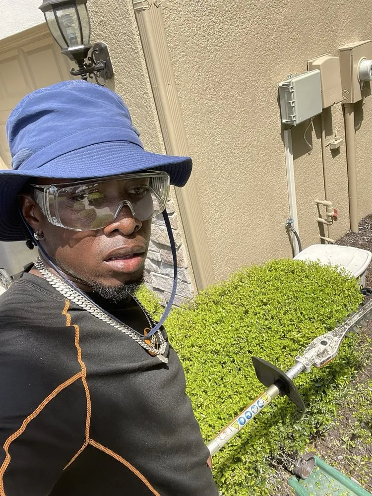 Expert landscape design for outdoor upgrades across Tampa, FL - RDL King Of Cleaning And Other Thing