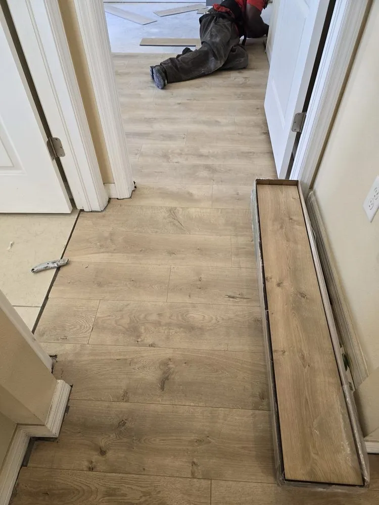 Professional landscape design for year-round maintenance in Tampa, FL by RDL King Of Cleaning And Other Thing