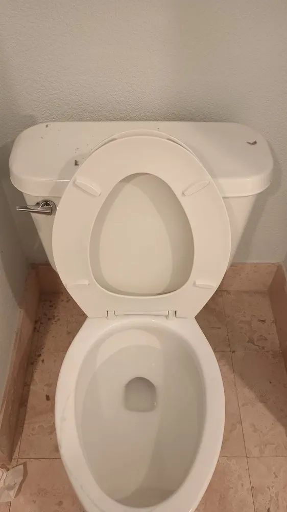 Top-rated residential landscaping in Tampa, FL - RDL King Of Cleaning And Other Thing