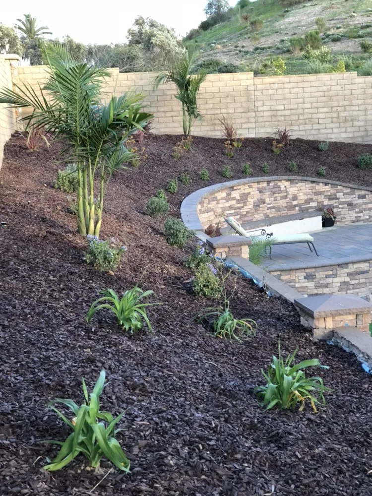 Professional yard cleanup service in Chula Vista, CA by RDLM Landscapes