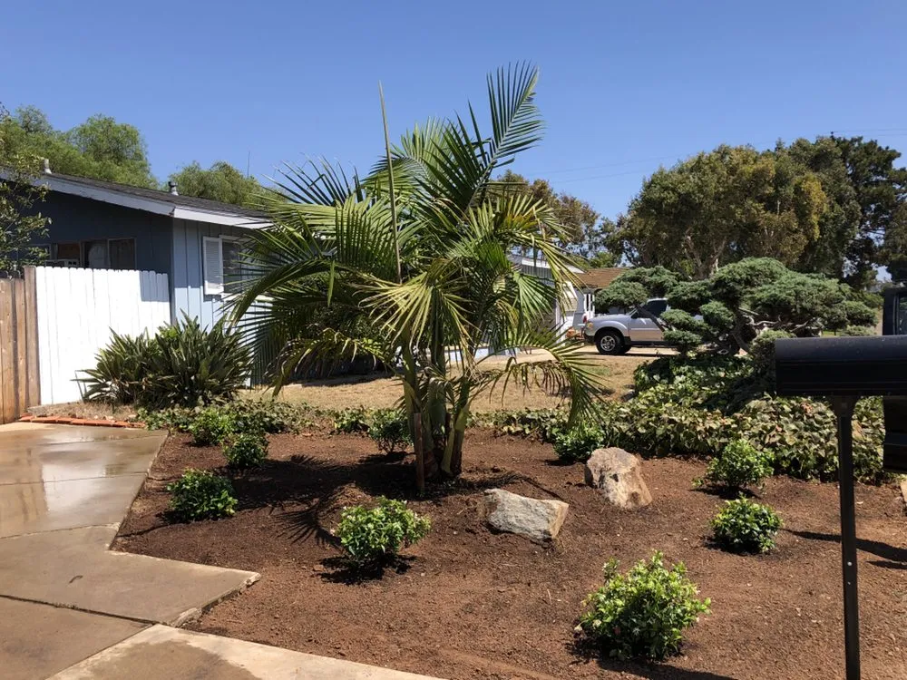 Top-rated yard cleanup service in Chula Vista, CA by RDLM Landscapes