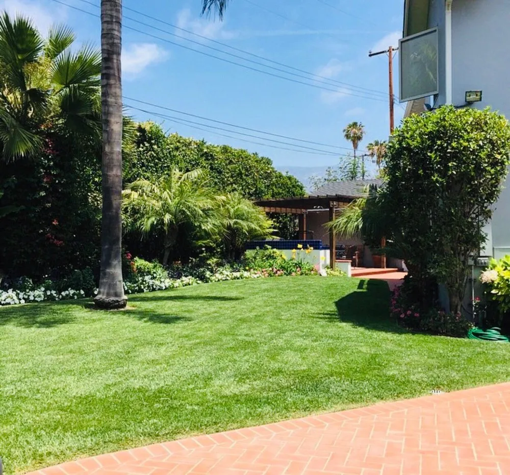 Local lawn care service in Chula Vista, CA - RDLM Landscapes