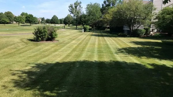 RDM Landscaping Logo