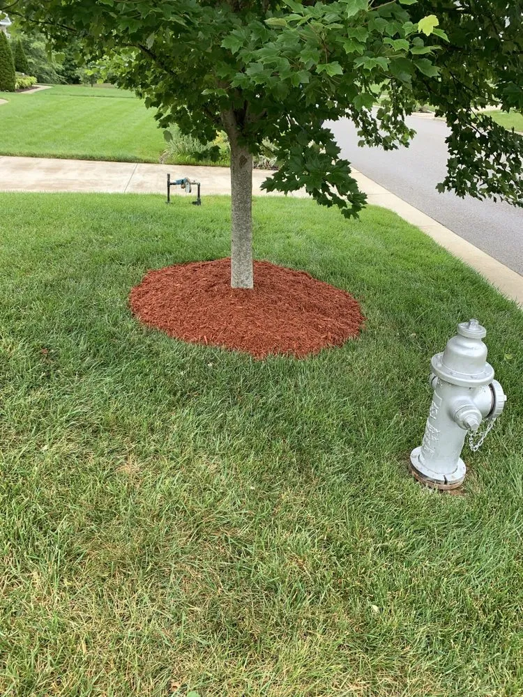 Reliable outdoor landscaping in Blackstone, VA - RDM Lawn Service