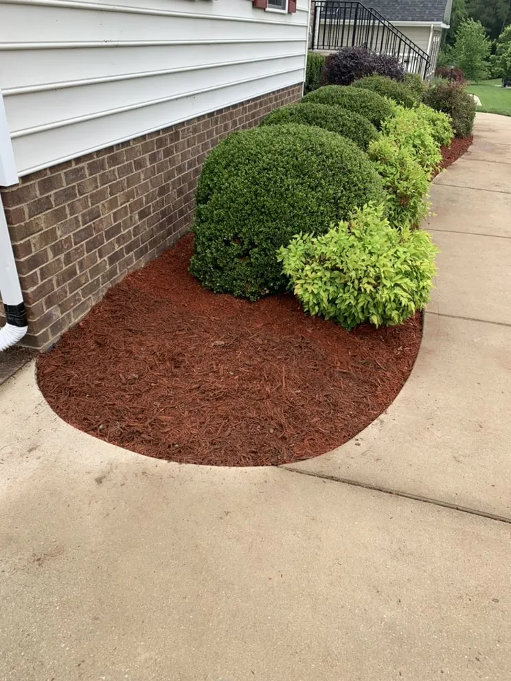 Local outdoor landscaping in Blackstone, VA by RDM Lawn Service