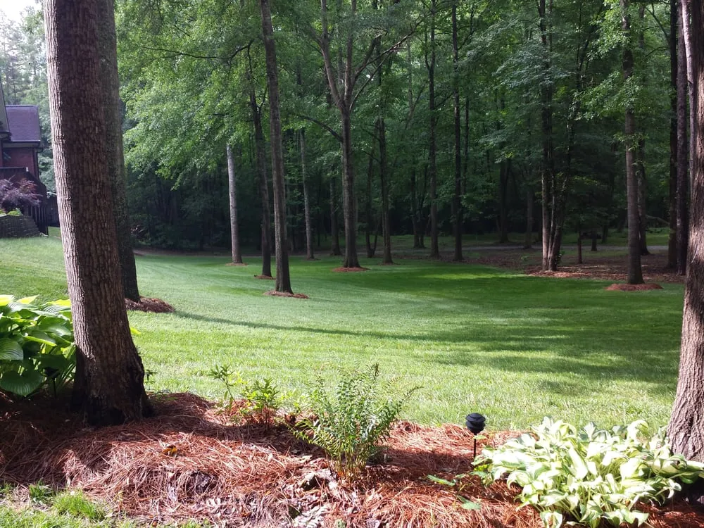Expert landscaping services in Mount Holly, NC - RDS Lawn Care Services