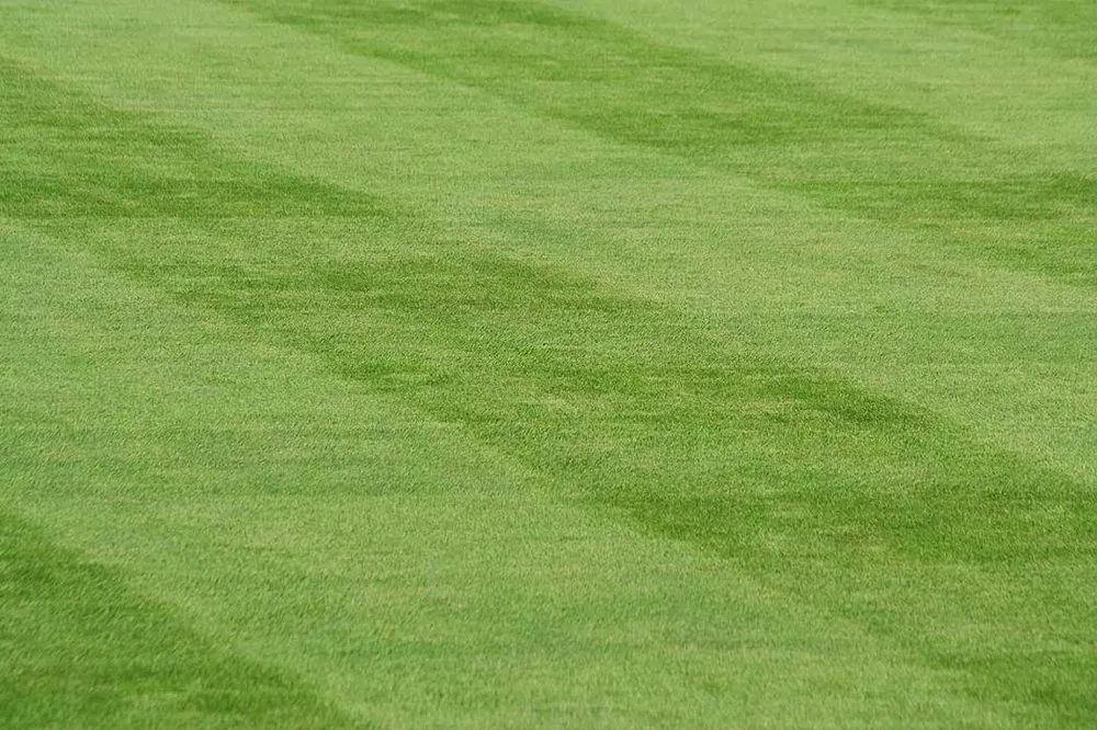 Local lawn mowing service with custom design in Mount Holly, NC by RDS Lawn Care Services