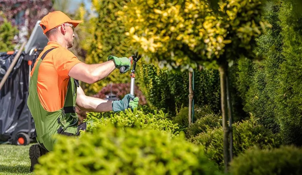 Custom garden landscaping in Mount Holly, NC by RDS Lawn Care Services