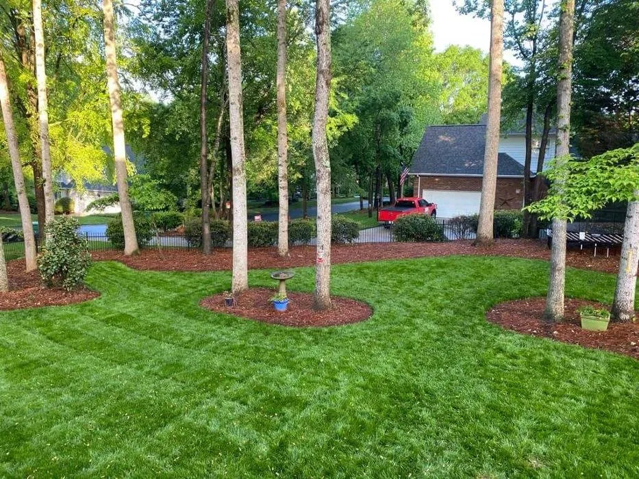 Professional yard cleanup service with custom design in Mount Holly, NC by RDS Lawn Care Services