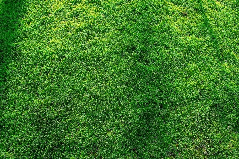 Top-rated outdoor landscaping with custom design in Mount Holly, NC by RDS Lawn Care Services