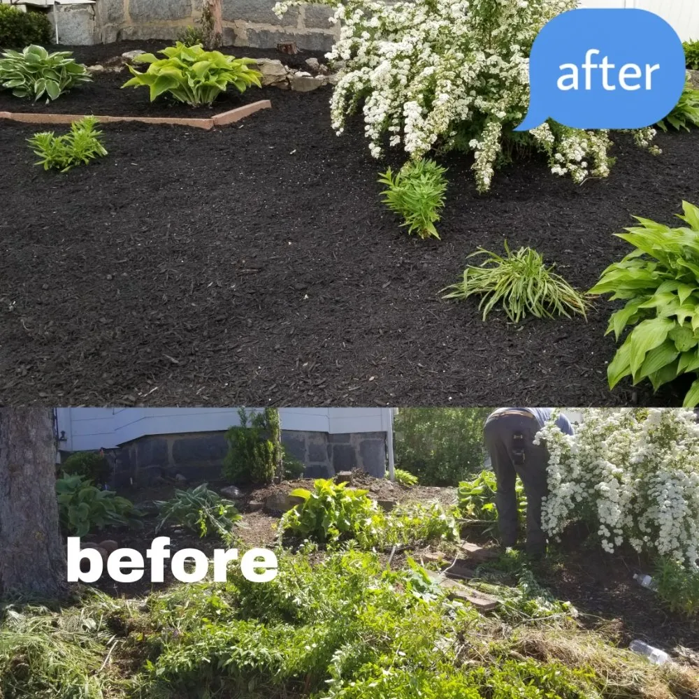 Top-rated yard cleanup service for outdoor upgrades across Framingham, MA - Rdv Landscape