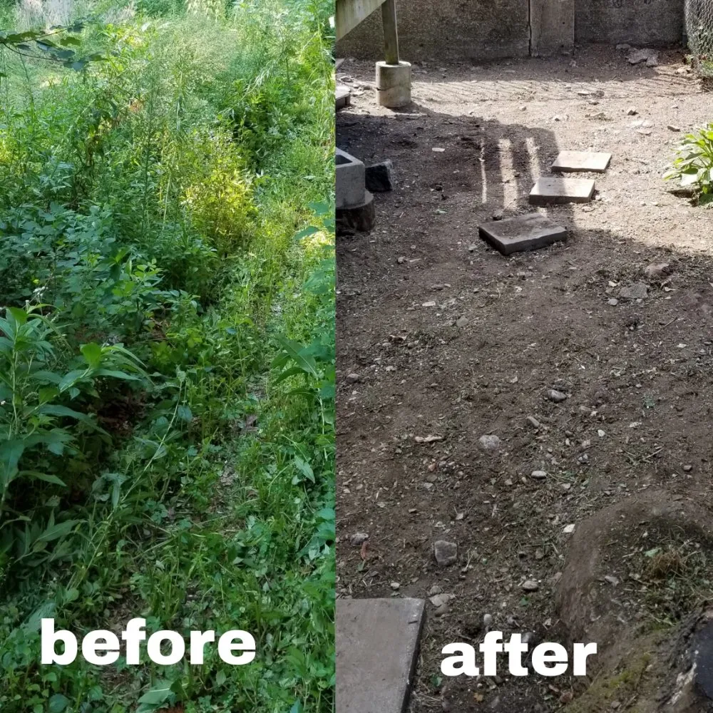 Top-rated outdoor landscaping experts serving Framingham, MA - Rdv Landscape