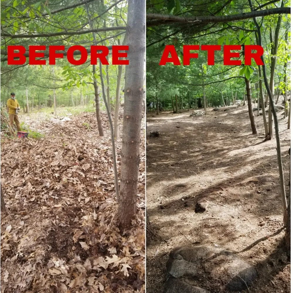 Local outdoor landscaping experts serving Framingham, MA - Rdv Landscape