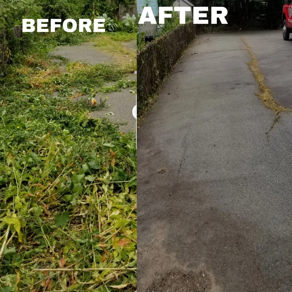 Custom lawn mowing service for outdoor upgrades across Framingham, MA - Rdv Landscape