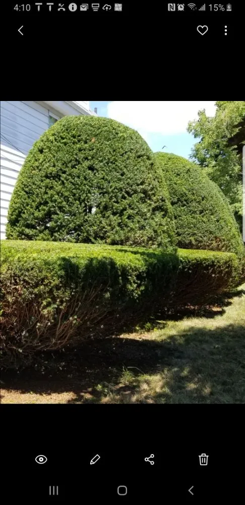 Local garden landscaping for outdoor upgrades across Framingham, MA - Rdv Landscape