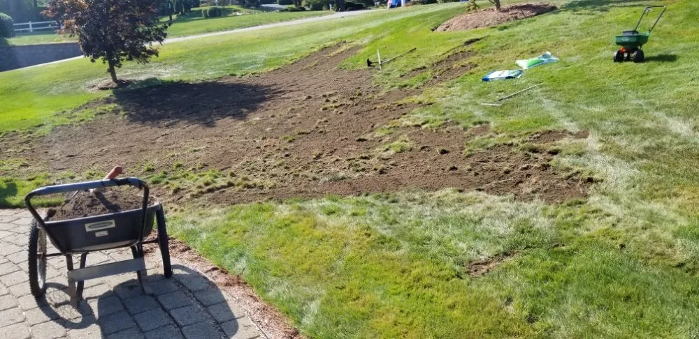 Top-rated lawn care service in Framingham, MA - Rdv Landscape