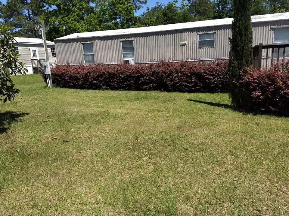 Affordable outdoor landscaping for year-round maintenance across Live Oak, FL - RDZ landscaping