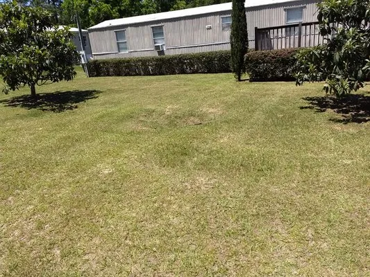 RDZ landscaping Logo