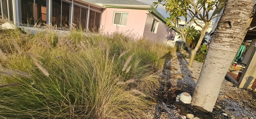 Local landscape design in Bokeelia, FL - RDZ Landscaping Services