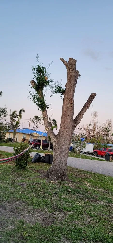 Custom landscape installation experts serving Bokeelia, FL - RDZ Landscaping Services