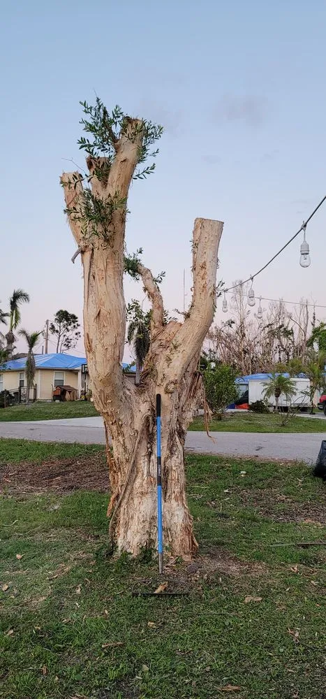 Top-rated lawn mowing service in Bokeelia, FL - RDZ Landscaping Services