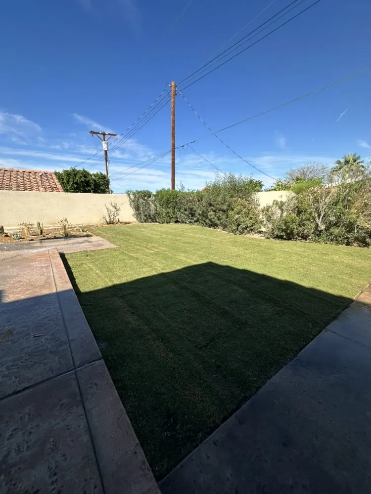 Expert lawn care service in Beaumont, CA by Re-Envisioned Landscaping
