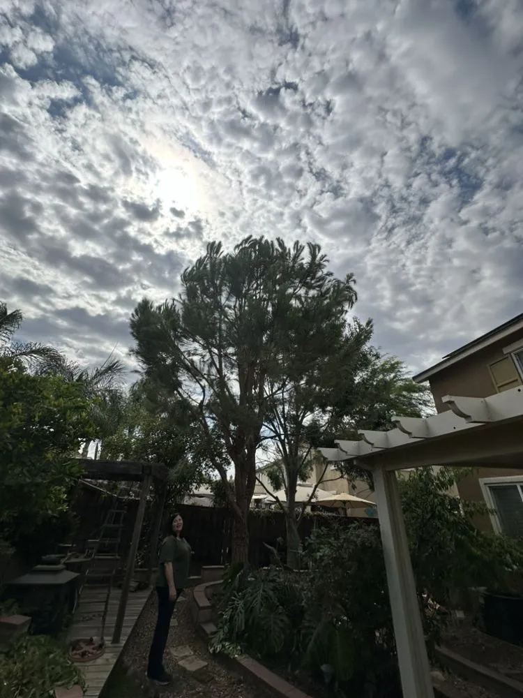 Expert landscape design with custom design across Beaumont, CA - Re-Envisioned Landscaping